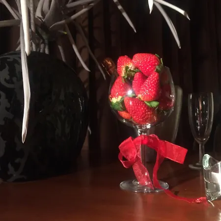 酒店 梅奥鲁奥酒店 3*