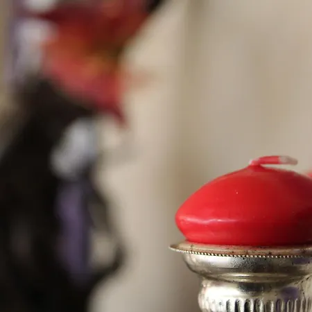 酒店 梅奥鲁奥酒店 3*